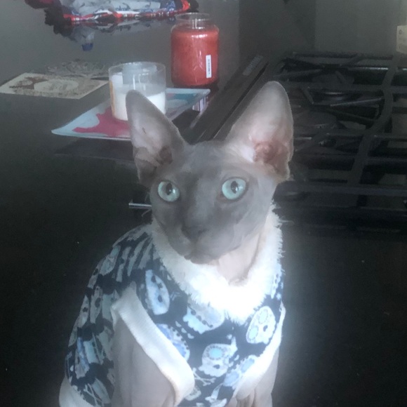 Meet your Posher, Eric - Picture 1 of 5